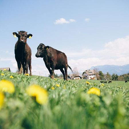 Alpin Farm Birke - Oberweidacherhof Collalbo Extérieur photo