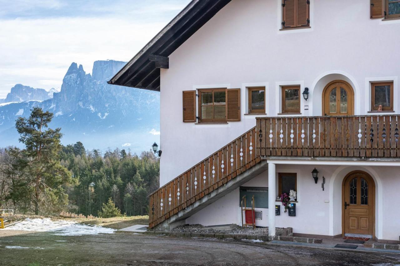 Alpin Farm Birke - Oberweidacherhof Collalbo Extérieur photo